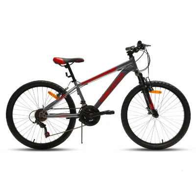 For Hot Cheap 26 Inch 21 Speed Steel Frame Disc Brake Mountain Bike for Men