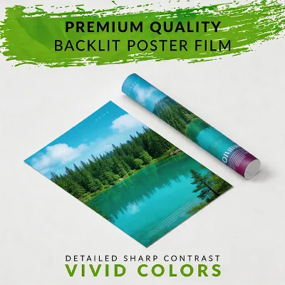 Eco-Friendly UV Resistant Waterproof Backlit Film with Customized Shape for Indoor Signage Recyclable Advertising Material