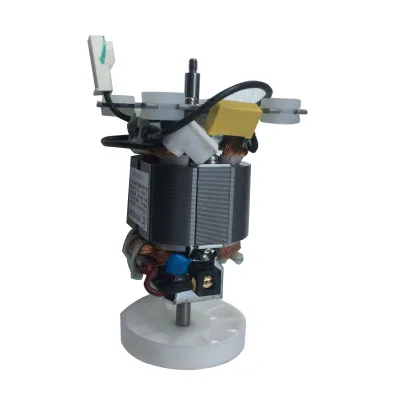 B54 China High Quality Single-Phase 100W Universal Motor Juicer Blender Electric Motor