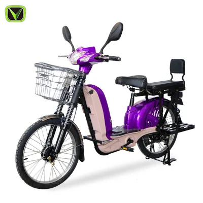 2022 New 22 Inch Ebaike Ekectric Elektrikli Bisiklet 20ah 48v 750w Elettric Bike Electric Bicycle Scooters
