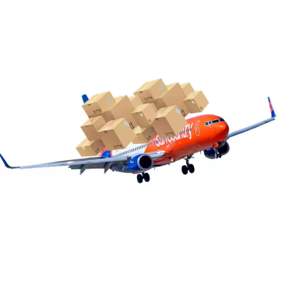 Fast Customs Release - China to USA/UK/Spain Air/Sea Freight with Priority Clearance