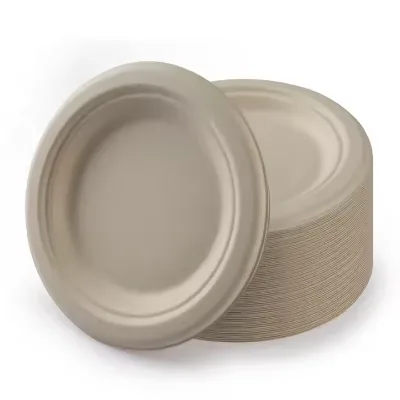 Biodegradable Disposable Oval Shape Sugarcane Bagasse Dinner Plate White or Natural Salad Snack Reusable Food Grade Tableware