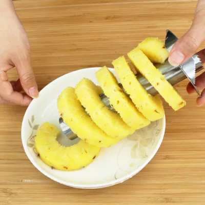 Apple Slicer, Pineapple Core Extractor 2-piece Set, Stainless Steel apple Cut Fruit Separation