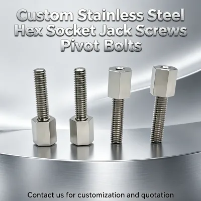 Stainless Steel Hex Socket Jack Screws High Strength Fasteners Customized CNC Milling Parts Steel Cnc Machining Services