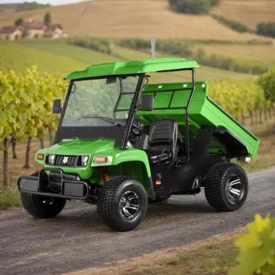 Cargo Transportation Use Small Electric UTV 4 Seat Mini Golf 4WD Automatic EEC EPA Certified