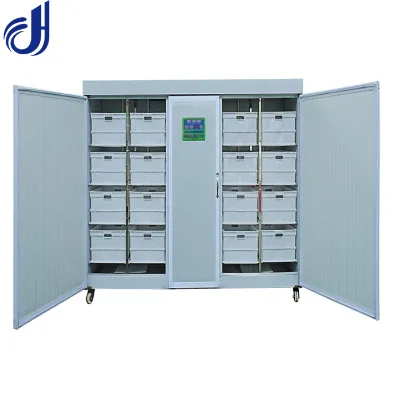 Machine Barley Bean Sprout Machines Barley Grass Growing Room
