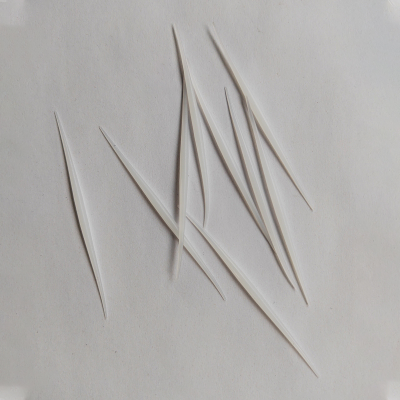 Custom Plastic Peg