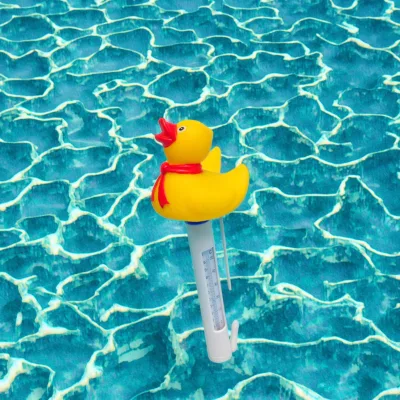 New Arrival Shatter-Resistant Duck Pool Thermometer for Indoor and Outdoor Cleaning Pool Accessory Cleaner