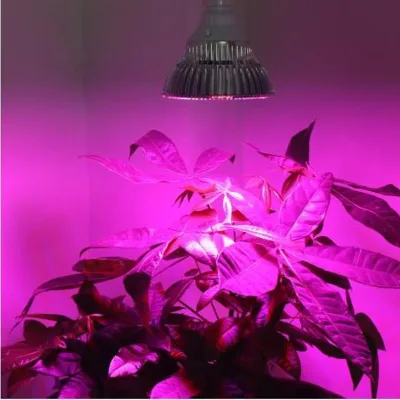 LED PAR38 Spotlight Full-Spectrum Plant Grow Light E27 Screw Base IP55 110-220V 3200 Lumens for Flowers