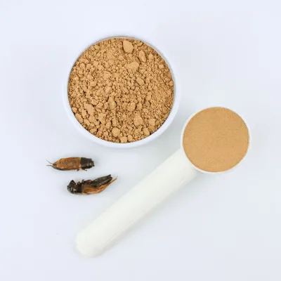 OEM Private Label Cricket Protein Powder for Pet Cricket Powder