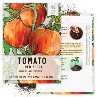 6 Individual Varieties for Planting Multicolor Tomato Plant Packet Collection Heirloom Non-GMO and Untreated Plant