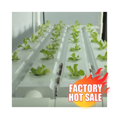 Factory Direct Price Biostrate Hydroponics