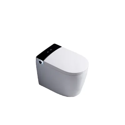 Sell With Butt Cleaning Function Floor Stand Flushing Smart Bidet Toilet