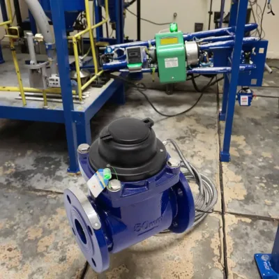 Cast Iron Dry-dial Cold Removable Flange Connection Woltman Water Meter Water OEM for Irrigation and Industrial Use