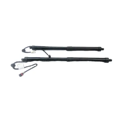 Pair Power Tail Gate Assembly Fit for 15-18 Hyundai Santa Fe Sport 81780-2W600 817802W600