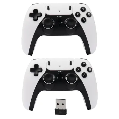 2.4G Wireless Joystick 079G Game Controller Connects to PC TV & Games for Youth Players