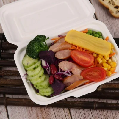 Eco-friendly Degradable Biodegradable Compostable 9 Inch Dinner Party Sugar Cane Pulp Sugarcane Bagasse Disposable Paper Plate