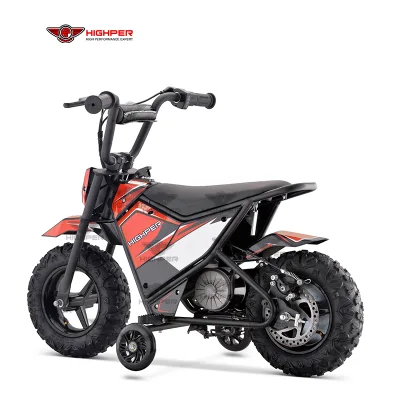 Youth Electric Mini Bike 250W 24V System CE Certified Outdoor Ride on Toy