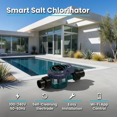 Professional Pool Water Sanitization 2-25g/h Memory Function Villa Hotel Public Pool Salt Chlorinator Generator