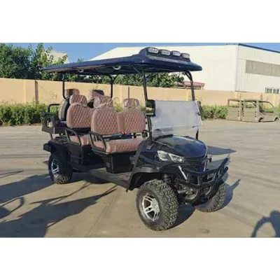 Cheap Price Brand New 2024 Powerful 2 4 Seats Wheel Off Road Club Car Golf Buggy Cart for Sale Rapid Delivery