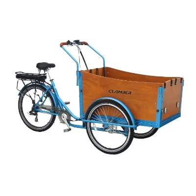 Wholesale Electric Cargo Bike Steel Frame 3 Wheel Tricycle Four Children Seats Tricycle Cargo