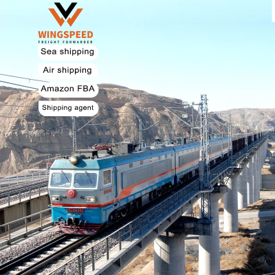 Port to Port Shipping Door to Door Dropshipping Sea Shipping Air Shipping from Dongguan/Ningbo to Italy/Thailand/Korea/USA