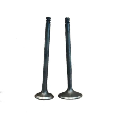 FYDA FYDB FYDC FYDD FYDH Engine Valves 1072048 1101934 Used for FORD Focosi 1.6 16V Intake & Exhaust Valves & Valve Tappets