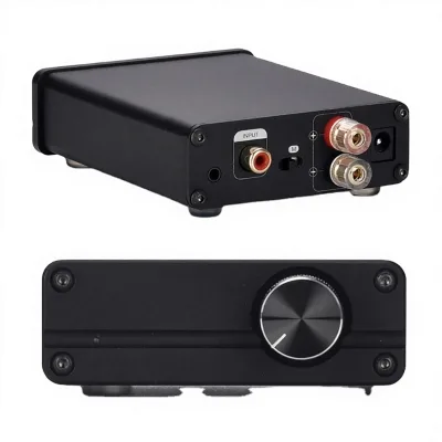 TPA3116 100W Mono Subwoofer Center Amplifier Mini Full Range AV Home Theater Speaker