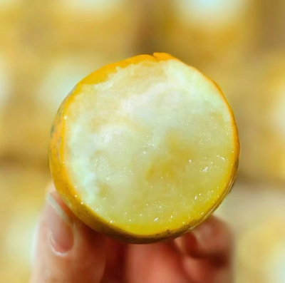 Hot Sale Crispy Kumquat Fruit Small Citrus With Pretty Golden Gift Box