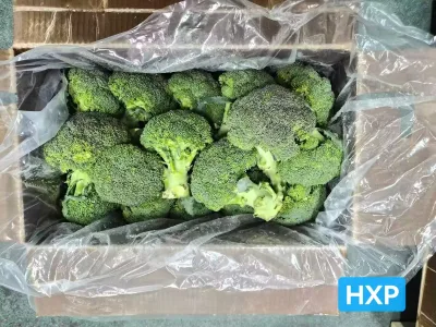 Waterproof Waxed Cardboard Box Custom Logo Packaging for Fresh Fruit and Vegetable Shipping