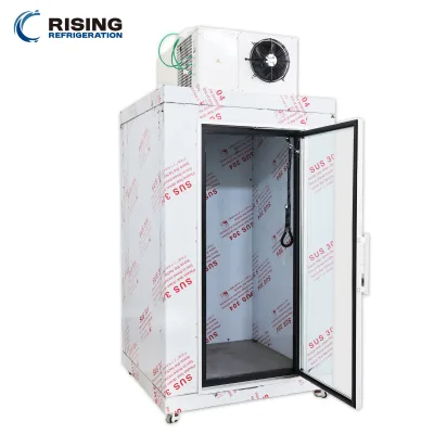 Stainless Steel Small Walk In Freezer Portable Mobile Cold Storage with Wheels for Catering Bakery Small Business