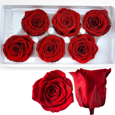 Wholesale 5-6 cm Diameter Red Preserved Roses Eternal Rose Immortal Rosas Preservadas for Christmas and Valentine's Day