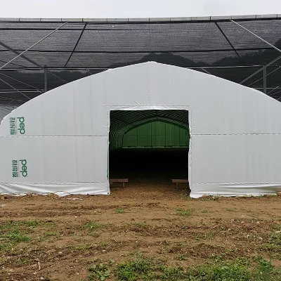 Serre Agricole Commercial Large PE Double Layer Farm Plastic Film Steel Tunnel Greenhouse for Tomato Mushroom Growing