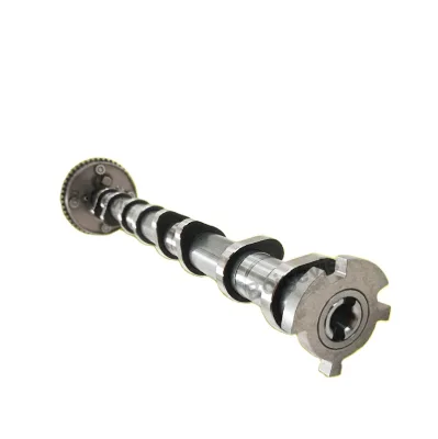 High Quality Auto Engine Parts Exhaust Camshaft 06J109021H for A3 8P1, A1 8X1, 8XK, VW Magotan GTE PHEV
