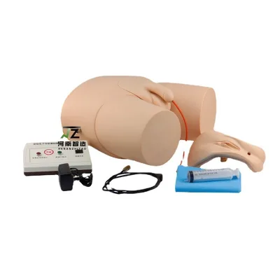 PVC Electronic Medical Science Teaching Practice Model for Schools and Hospitals Catheterisation and Enema Training