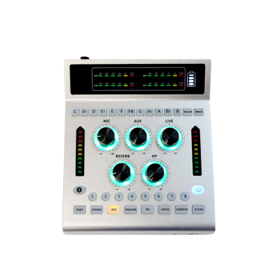 Live Streaming Podcast Sound Card Audio Interface for Karaoke Sound Card Audio Mixer Support Phone Computer
