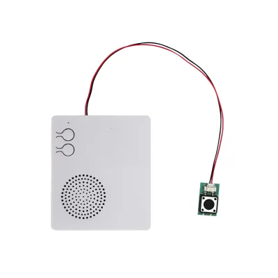 Factory Custom 16MB Square Push Button USB Rechargeable Lithium Battery Downloadable Music Sound Module Voice Recorder Box
