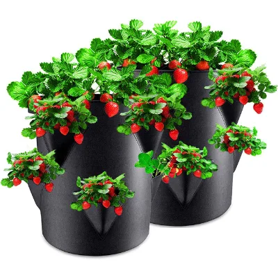 Factory Custom Color logo Multi-functional Non-woven Fabric Strawberry Bean Seedling Polyester Felt Planting Bag