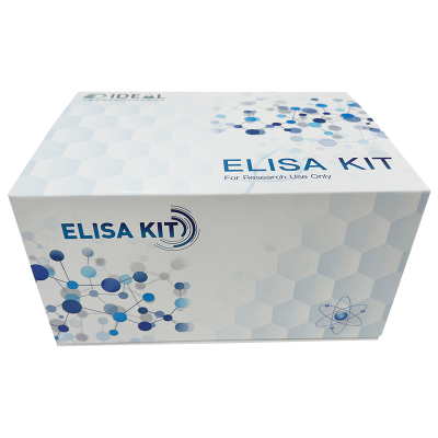 Rat Soluble Leukocyte Differentiation Antigen30 Ligand (scd30l) ELISA Kit