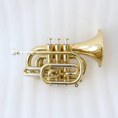 High End Professional Gold Lacquered Portable Trumpet Rotary FPT-300L Brass Material Pocket Trumpet With Instrument Case OEM