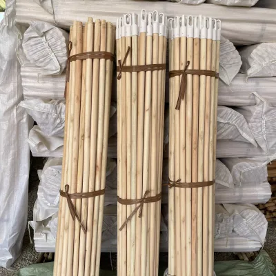 Eco-Friendly 120cm Broomstick with Wooden Stick Handle Bristle and Plastic Head for Home Sweeping Bag Packed