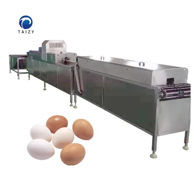 Automatic Egg Washing Machine Commercial Egg Cleaning Machine