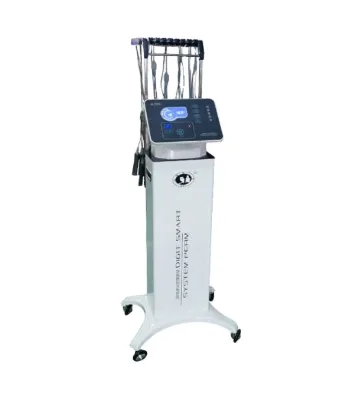 DTY Smart Digital 2in1 Hair Perm Machine 110V-240V 600W 40-160C Temperature Control-Salon Equipment Plastic Metal 1 Year