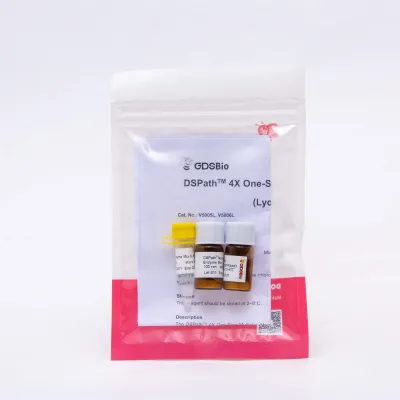 DSPath 4X One-Step Multiplex Master Mix (Lyophilized)