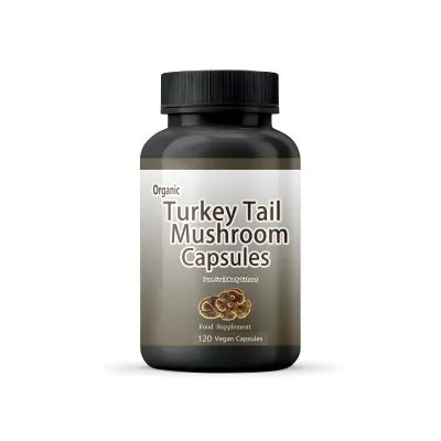 Customized Private Label Coriolus Versicolor Turkey Tail Mushroom Capsules