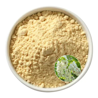 Natural Quercitin Rutin Powder Sophora Japonica Extract 98% Sophora Japonica Extract Powder Rutin