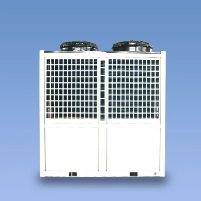 R290/R410a R22 Factory Commercial Variable Frequency Air to Water Heat Pump Water Heater Air Source Pool Heat Pump