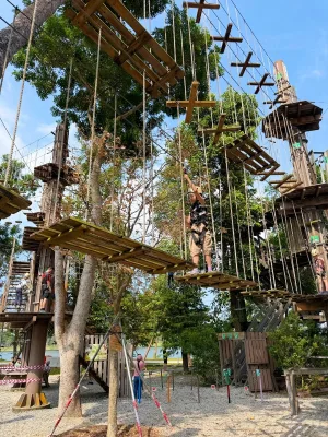 Indoor Climbing Combination with Unique Obstacles for School Shopping Mall Park & Forest-Steel Structure