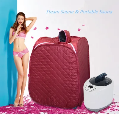 Modern Mini Steam Sauna Bag One-Person Acrylic Computer Control Panel Foot Bath Electric Home Multipurpose Heating Sleek Design