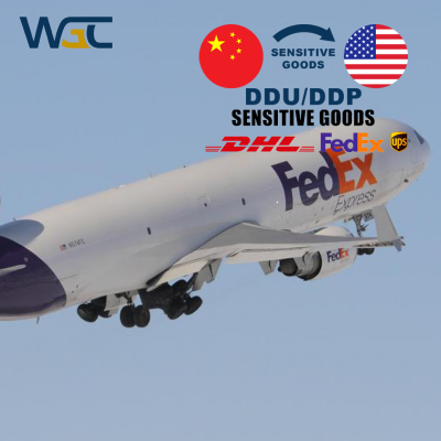 Safe & Efficient China Forwarder Transportation